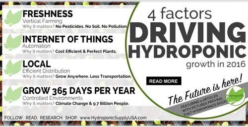 4 Factors Driving Hydroponic Growing Trends in 2016